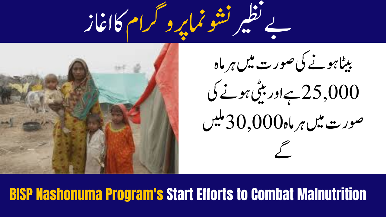 BISP Nashonuma Programs