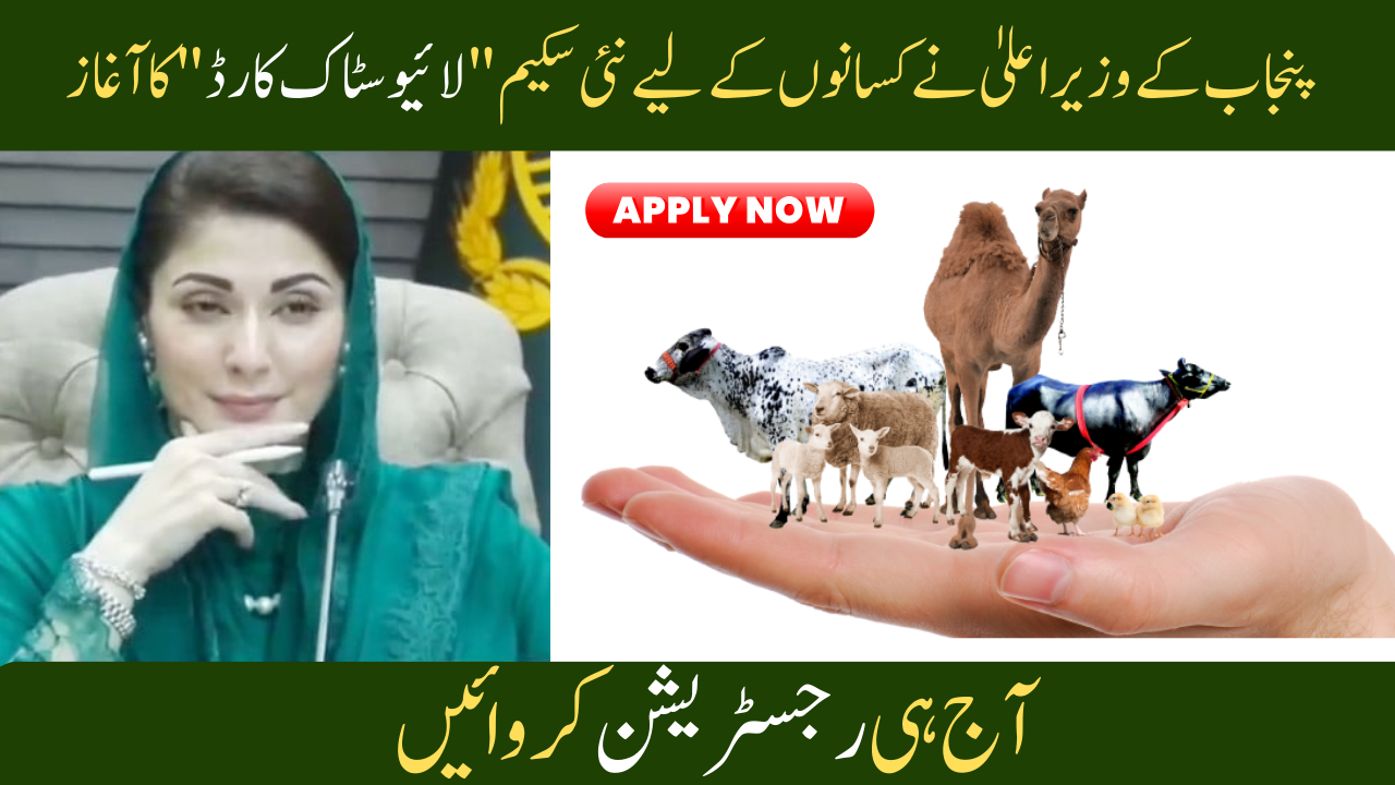 Latest News: CM Punjab Launches Livestock Cards (New Program for Farmers)