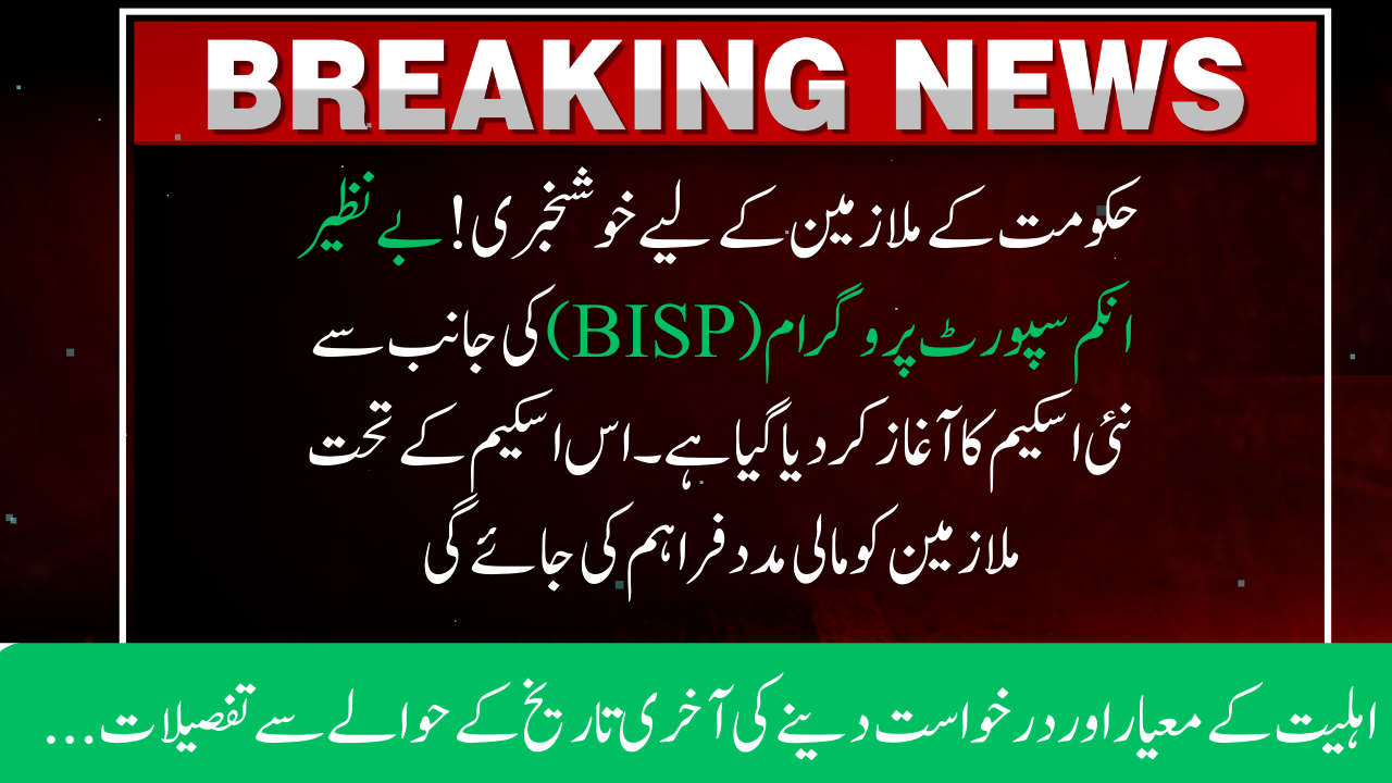 BISP New Scheme for Government Employees 2024