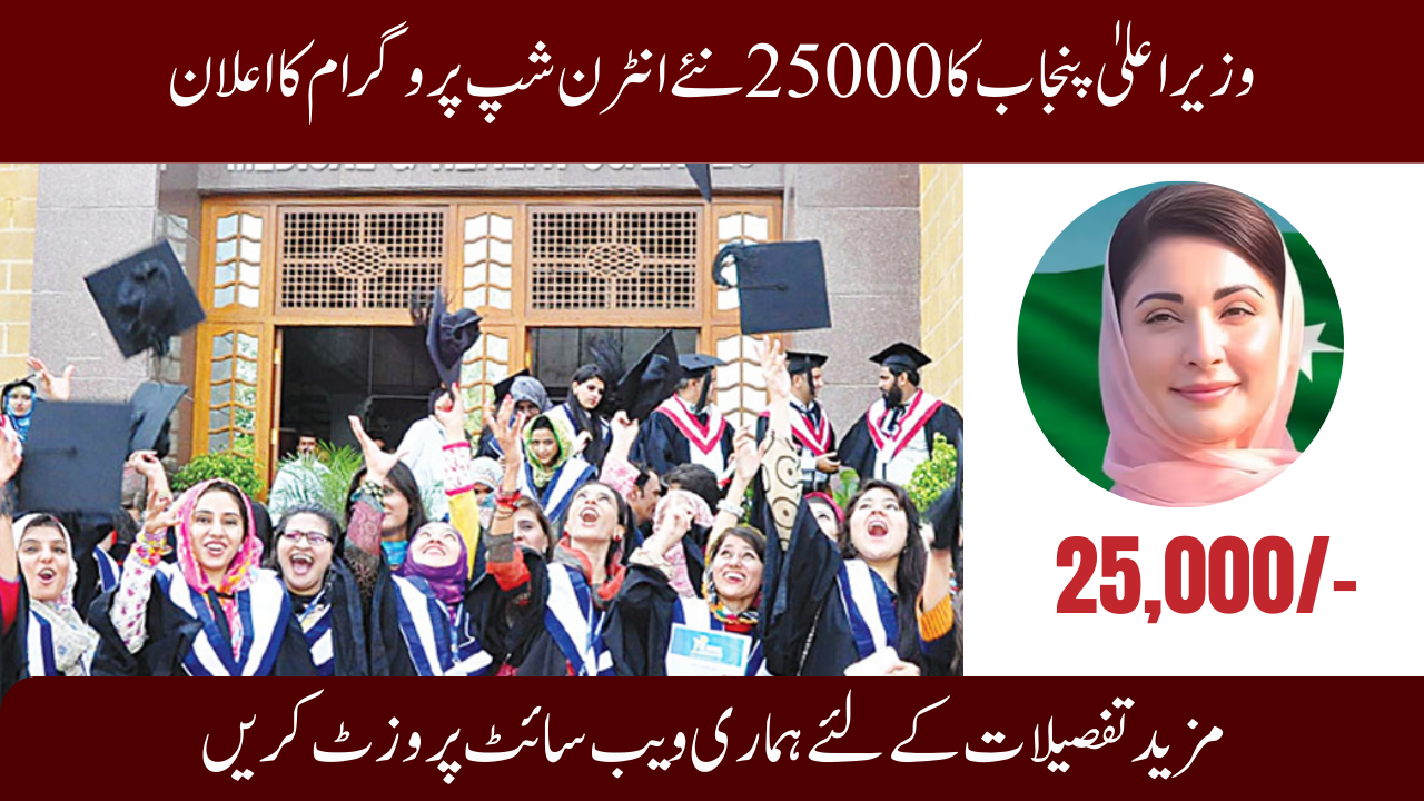 CM Punjab 25000 Internship Program