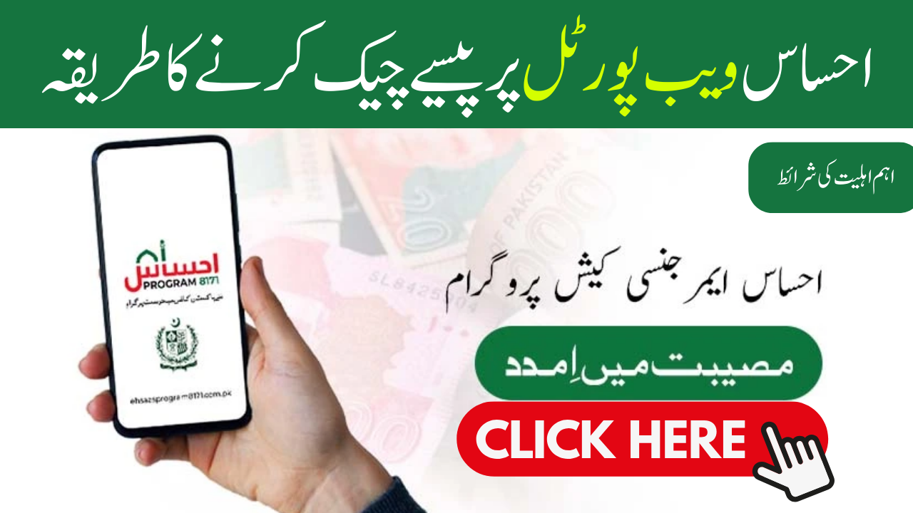 Check Money ON Ehsaas Web Portal