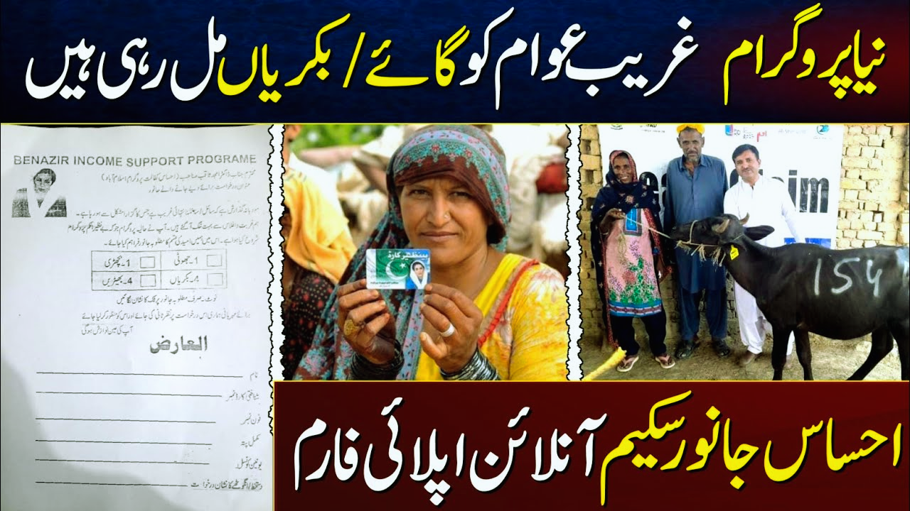 BISP Free Animal Program Scheme